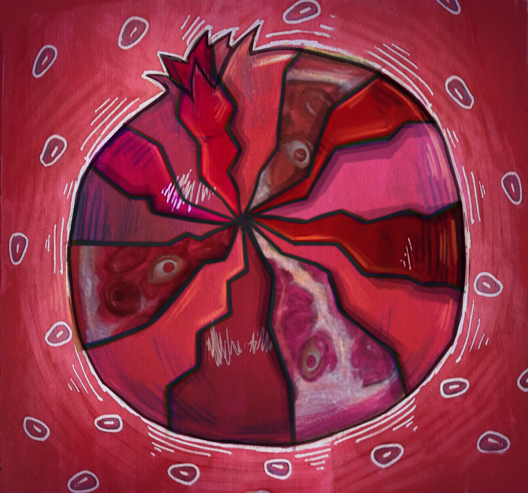 Fragmented pomegranate artwork